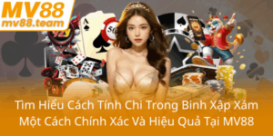 Tim Hieu Cach Tinh Chi Trong Binh Xap Xam Mot Cach Chinh Xac Va Hieu Qua Tai Mv880