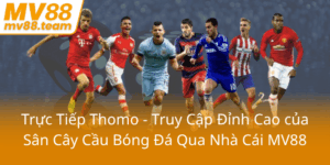 Truc Tiep Thomo Truy Cap Dinh Cao Cua San Cay Cau Bong Da Qua Nha Cai Mv880