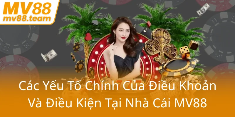 Cac Yeu To Chinh Cua Dieu Khoan Va Dieu Kien Tai Nha Cai Mv8876